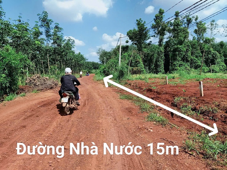 CHÍNH CHỦ BÁN ĐẤT TẠI LỘC QUANG - LỘC NINH - BÌNH PHƯỚC. - Ảnh 3