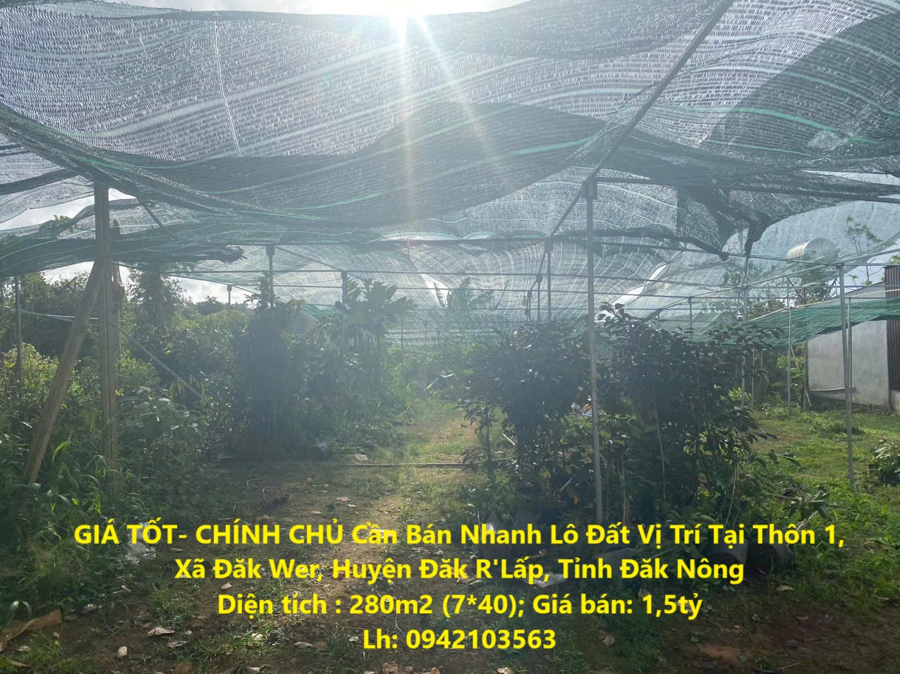 GIÁ TỐT- CHÍNH CHỦ Cần Bán Nhanh Lô Đất Vị Trí Tại Tỉnh Đăk Nông - Ảnh chính