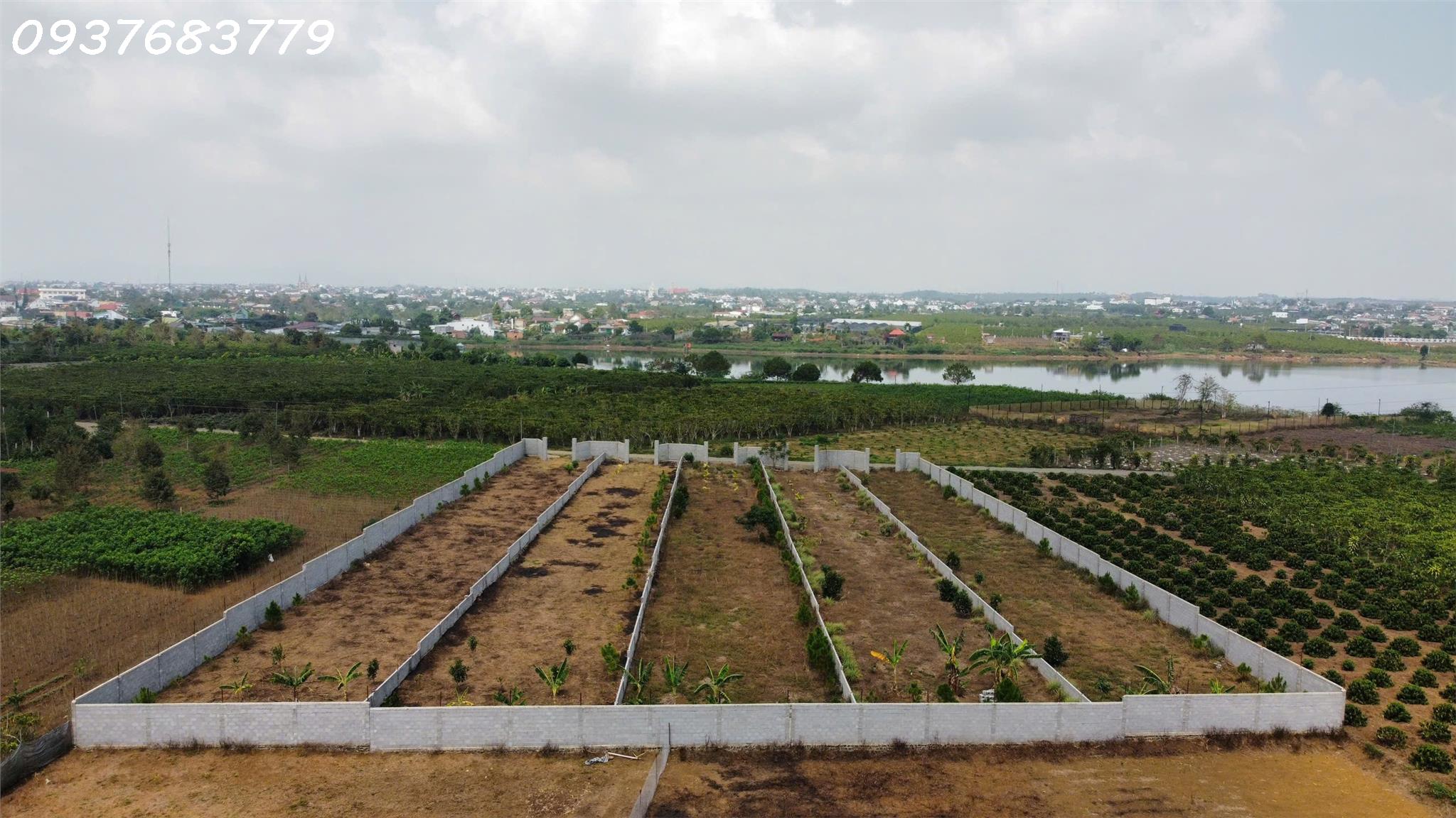 Bán đất hẻm 181 Đoàn Thị Điểm - Lộc Thanh , Tp Bảo Lộc - Ảnh 3