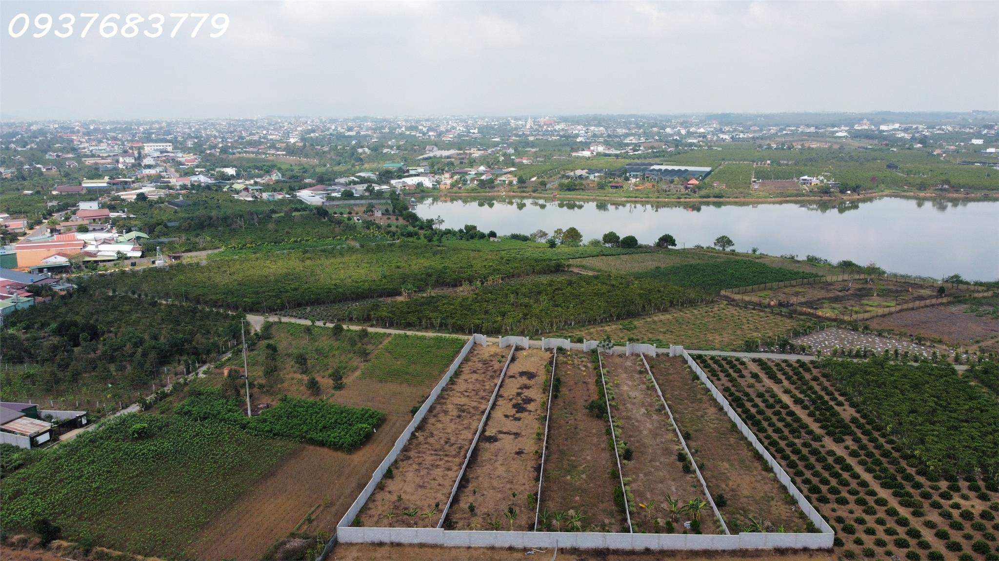 Bán đất hẻm 181 Đoàn Thị Điểm - Lộc Thanh , Tp Bảo Lộc - Ảnh 4