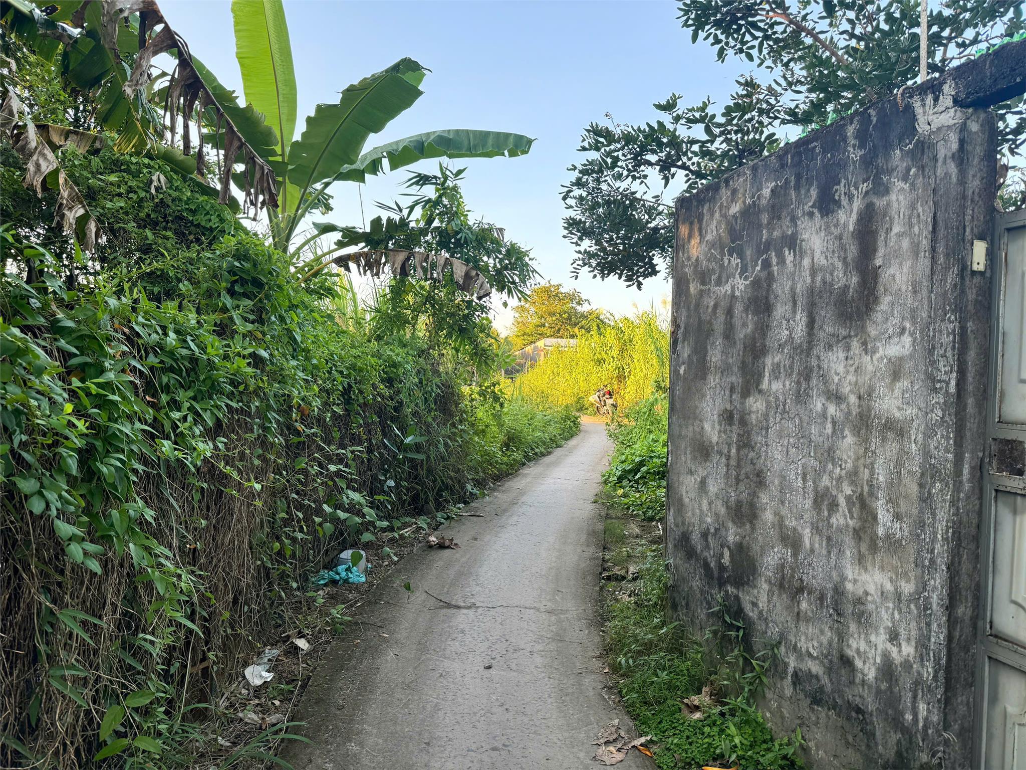 CHÍNH CHỦ Cần Bán Nền Rạch Cái Nai Tại Phường Hưng Thạnh, Q. Cái Răng, TP Cần Thơ - Ảnh 1