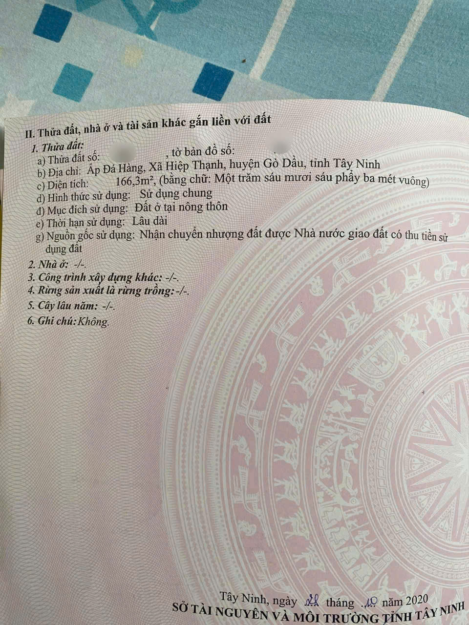 ĐẤT ĐẸP - GIÁ TỐT - CHÍNH CHỦ BÁN GẤP LÔ ĐẤT Mặt Tiền Đường Xã Hiệp Thạnh, Gò Dầu, Tây Ninh - Ảnh chính