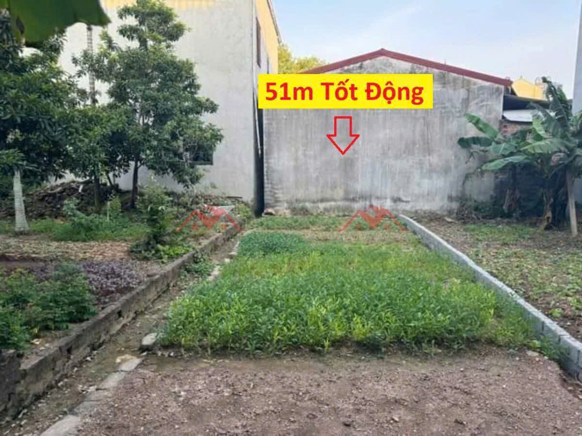 SIÊU PHẨM GIÁ 1,650 TỶ ĐẤT TẠI TỐT ĐỘNG-CHƯƠNG MỸ D/T:51M - Ảnh chính