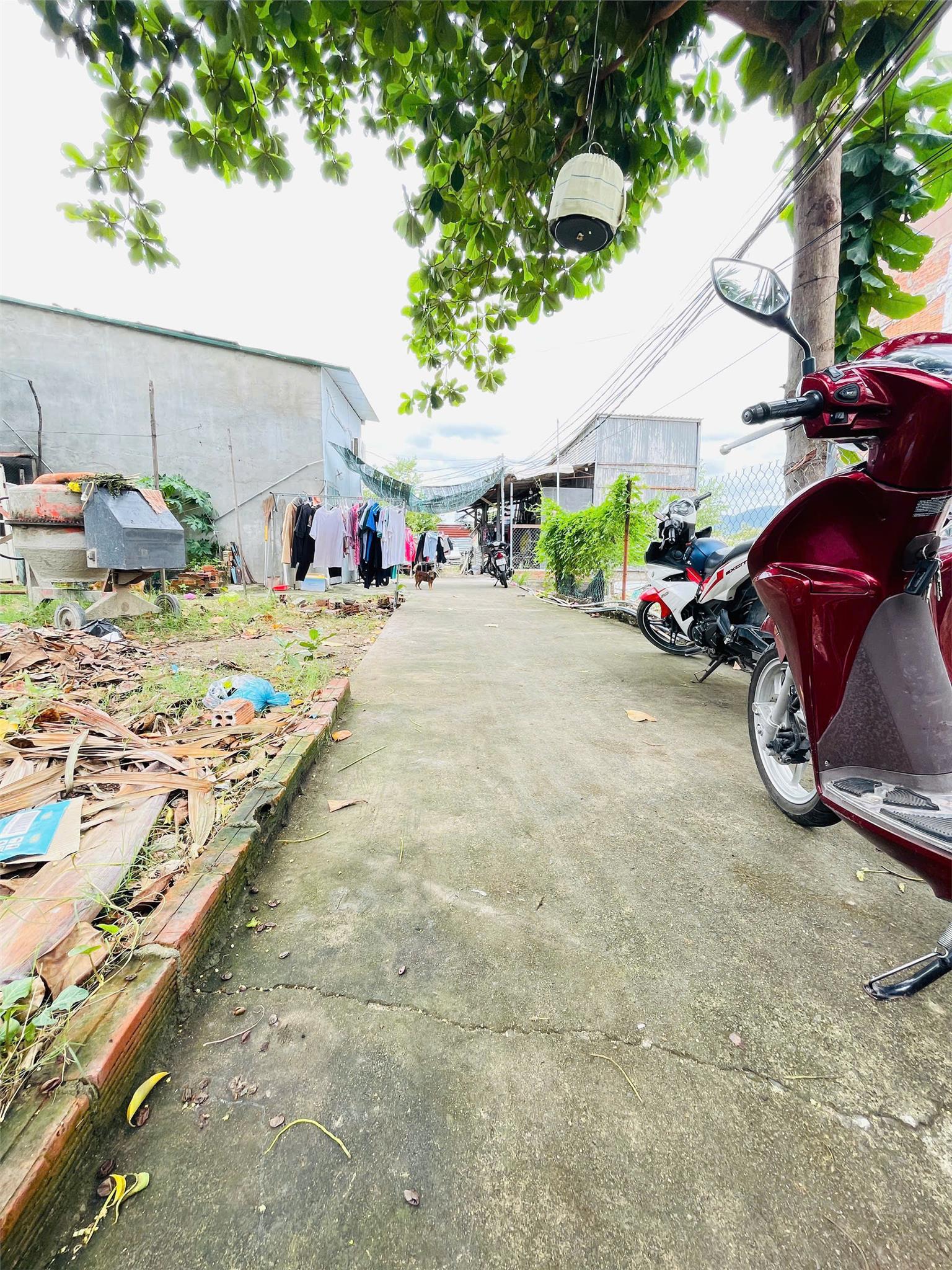 BÁN LÔ NỀN NGAY ĐƯỜNG LÊ HỒNG PHONG, NHA TRANG, KHÁNH HOÀ - Ảnh 2