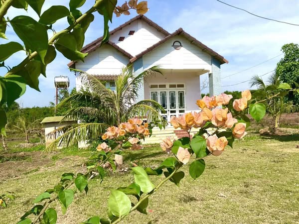 ✨🏡 CƠ HỘI CÓ 1 0 2 - SỞ HỮU ĐẤT & NHÀ ĐẸP VIEW HỒ DAKLAK - HƠN 700 TR - Ảnh 2