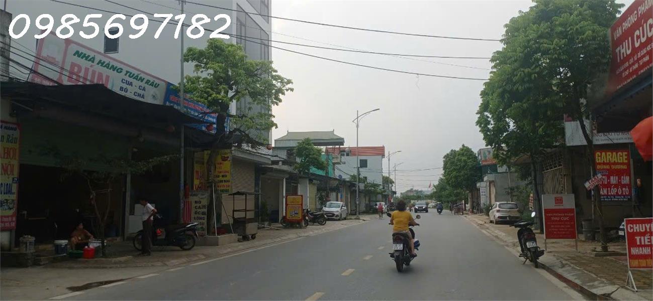 Hoa Hậu mặt Tỉnh Lộ 419, xã Đại Yên, Chương Mỹ, Hà Nội. 125m2 x 5m MT, Vỉa hè, kinh doanh, ô tô - Ảnh 1