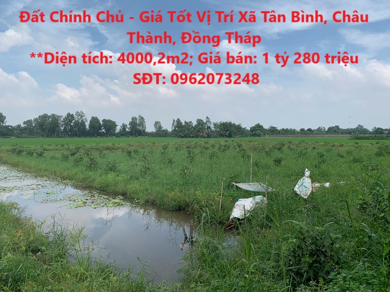 Đất Chính Chủ - Giá Tốt Vị Trí Xã Tân Bình, Châu Thành, Đồng Tháp - Ảnh chính