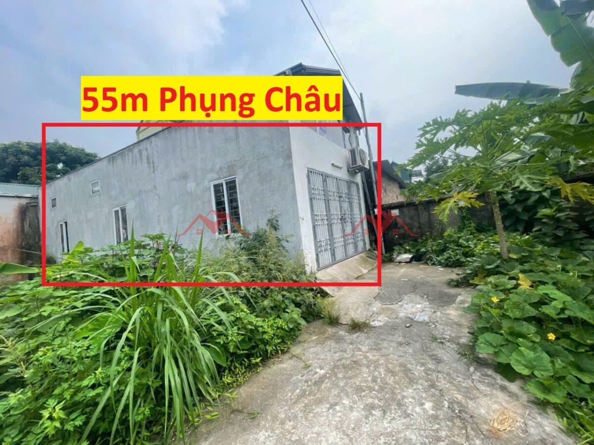 SIÊU PHẨM BÁN NHÀ GIÁ 2,8 TỶ TẠI PHỤNG CHÂU-CHƯƠNG MỸ D/T:55M - Ảnh chính