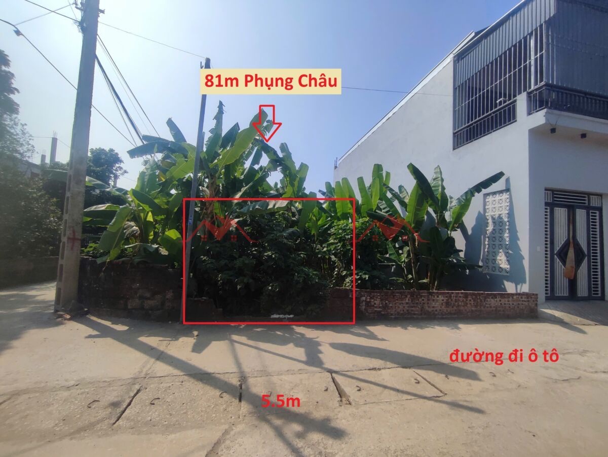 SIÊU PHÂM GIÁ 4,5 TỶ ĐẤT TẠI PHỤNG CHÂU-CHƯƠNG MỸ D/T:81M - Ảnh chính