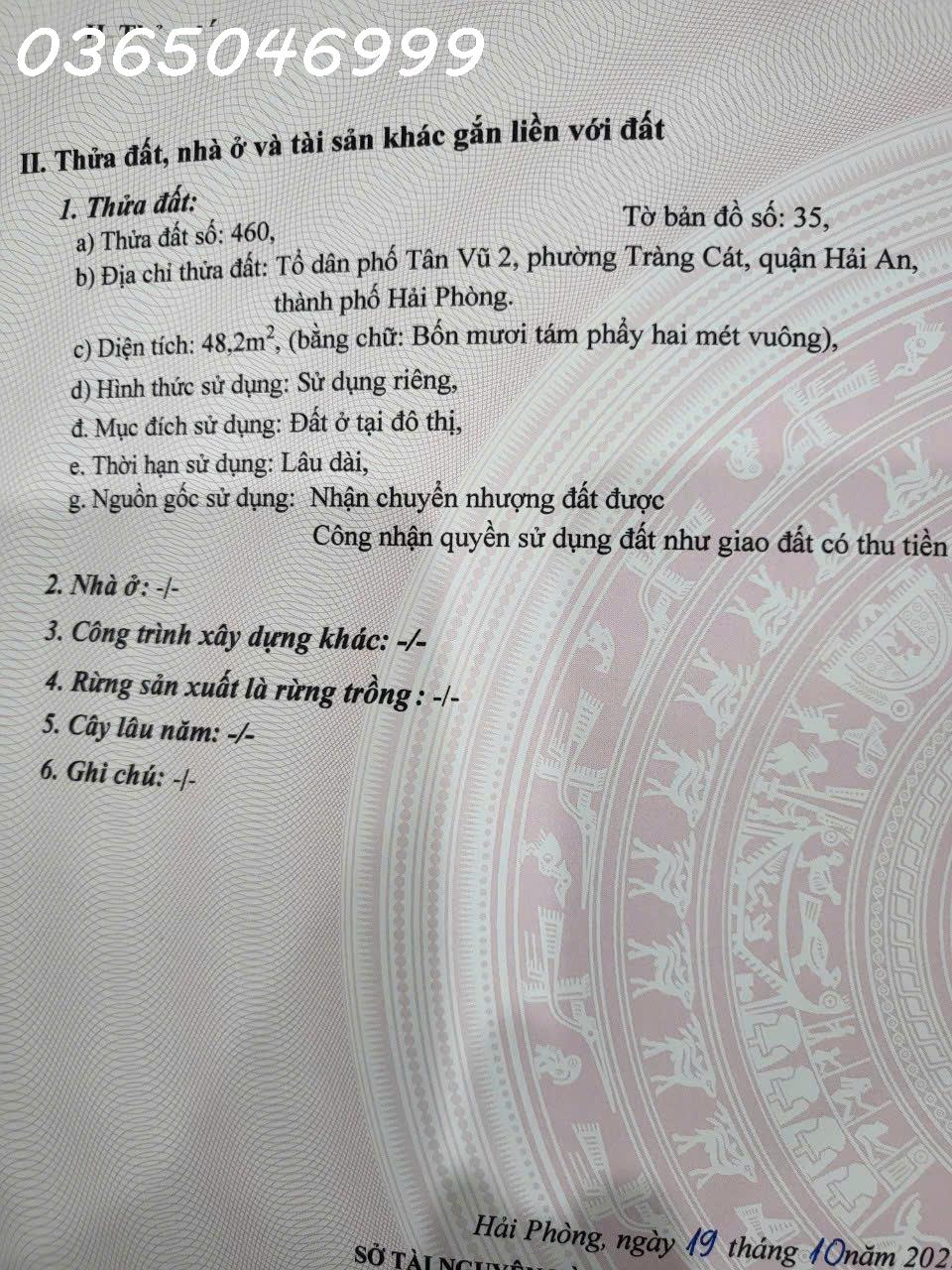 Cần chuyển nhượng 2 lô đất ở Tân Vũ 2, Tràng Cát, Hải An - Ảnh 3