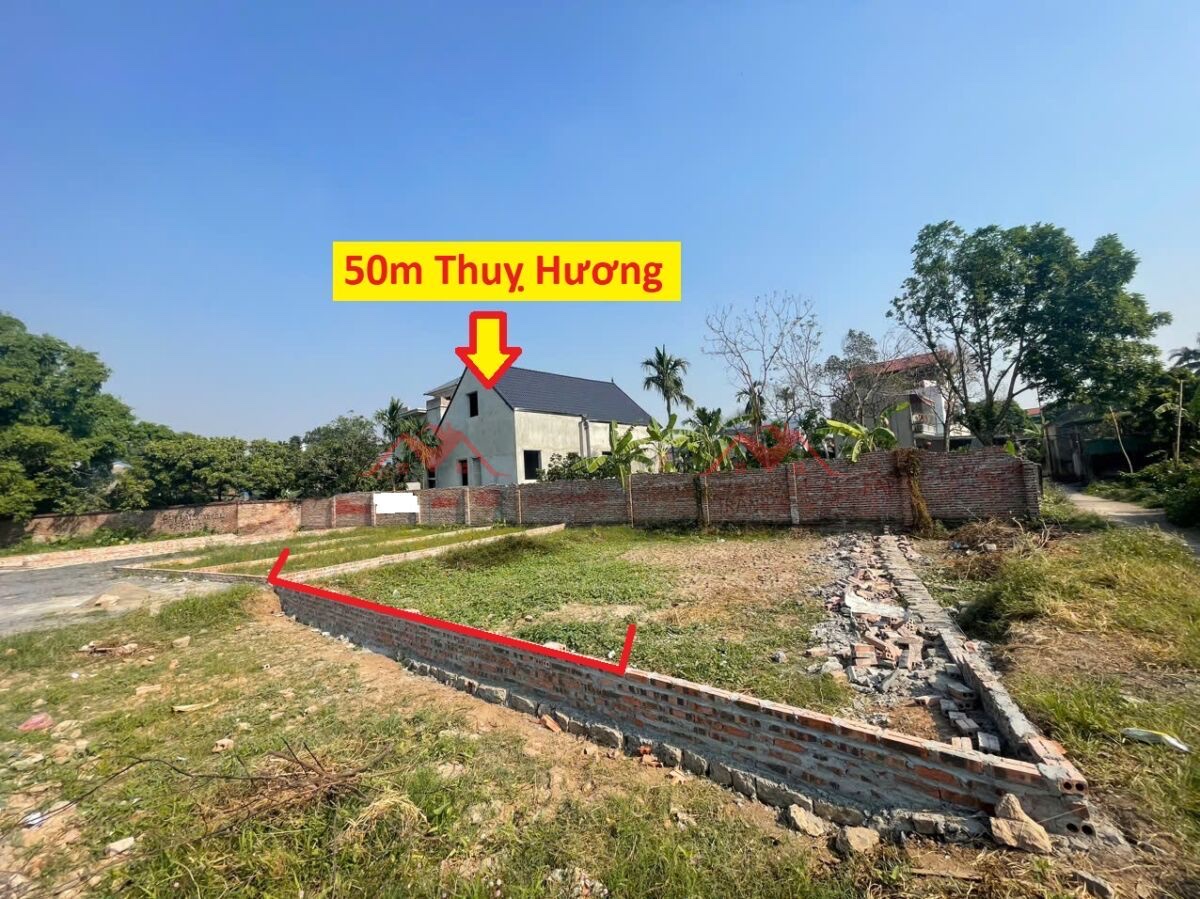 SIÊU PHẨM GIÁ 2,1 TỶ ĐẤT TẠI THỤY HƯƠNG-CHƯƠNG MỸ D/T:50M - Ảnh chính