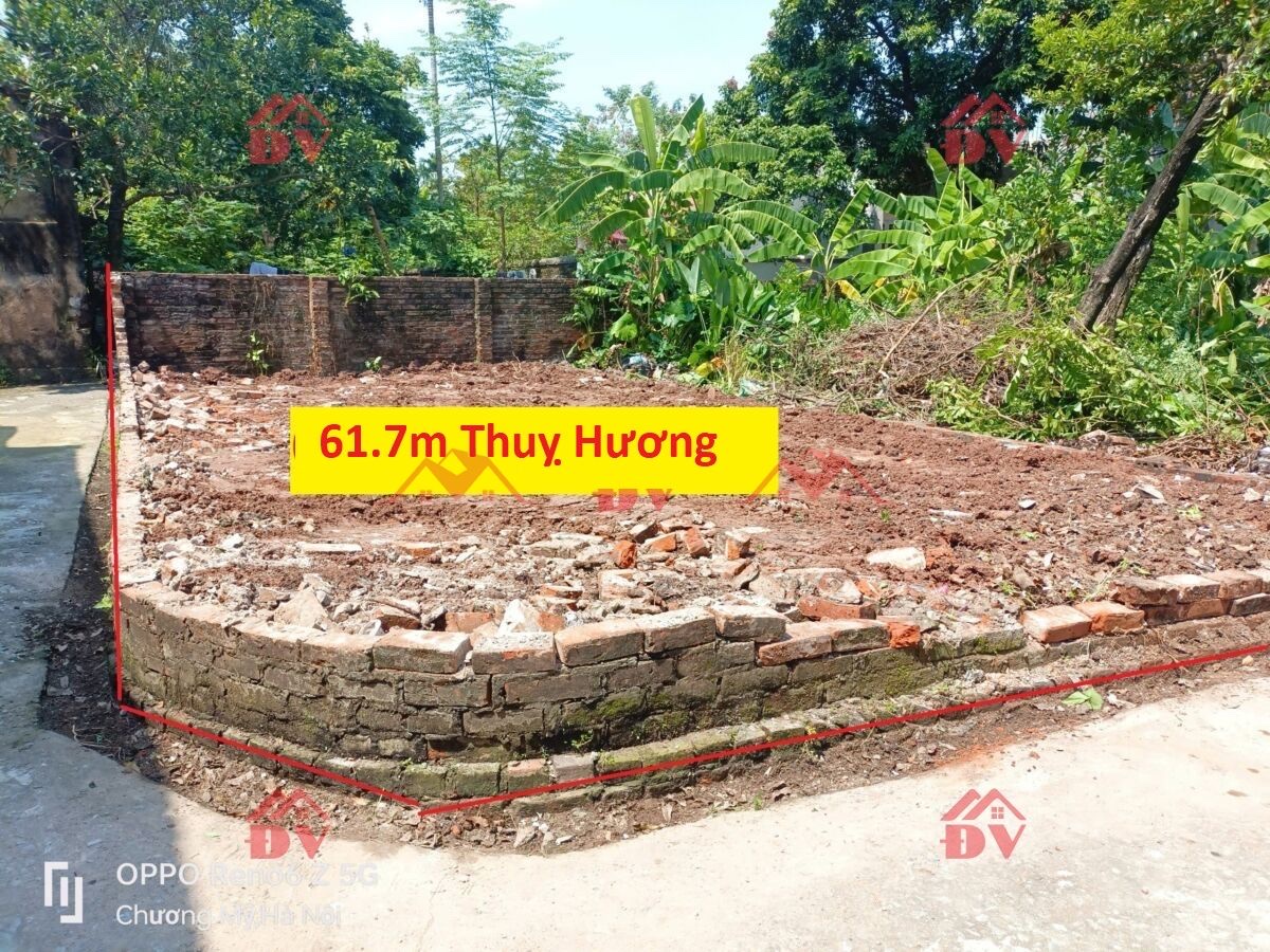 SIÊU PHẨM GIÁ 2,1 TỶ ĐÂT TẠI THỤY HƯƠNG-CHƯƠNG MỸ D/T:61,7M - Ảnh chính