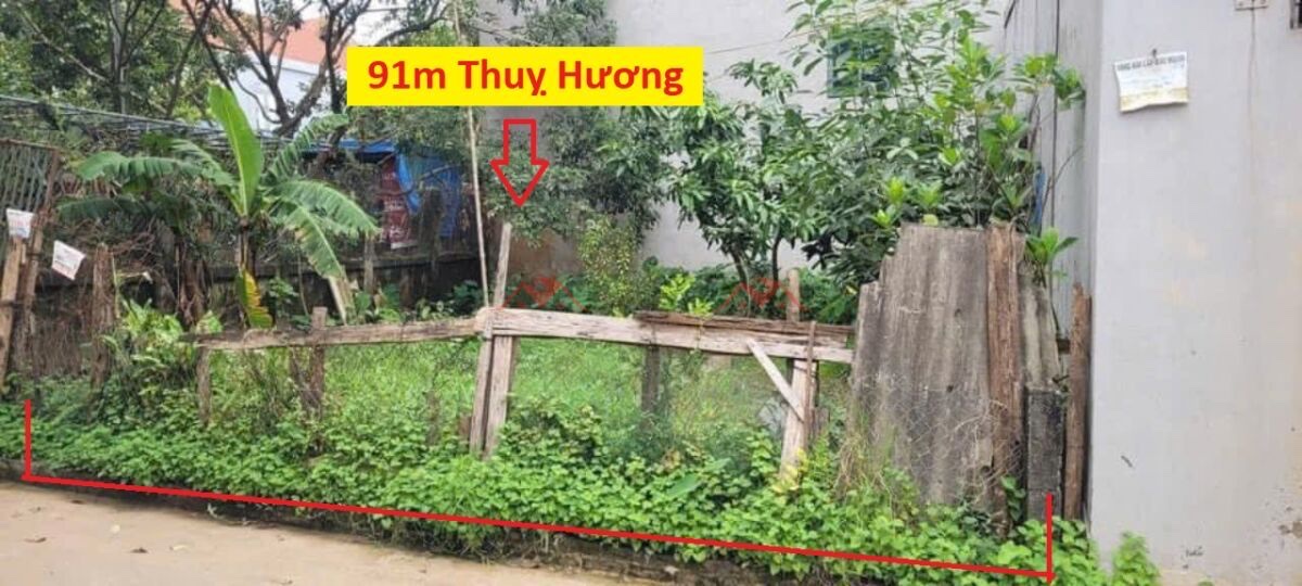 SIÊU PHẨM GIÁ 3,750 TỶ ĐẤT TẠI THỤY HƯƠNG-CHƯƠNG MYX D/T:91M - Ảnh chính