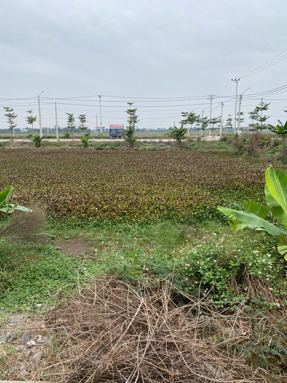 SIÊU PHẨM CỰC HÓT – CHÀO BÁN NHANH LÔ ĐẤT I48 XÃ KHÁNH HỘI, YÊN KHÁNH, NINH BÌNH - Ảnh chính