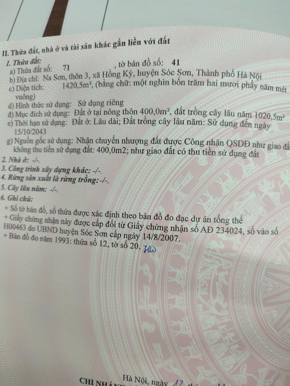 Đất đẹp giá rẻ tại Hồng Kỳ-Sóc Sơn chỉ hơn 5tr/m, khổ vuông vắn xây nhà vườn cực xinh - Ảnh 2