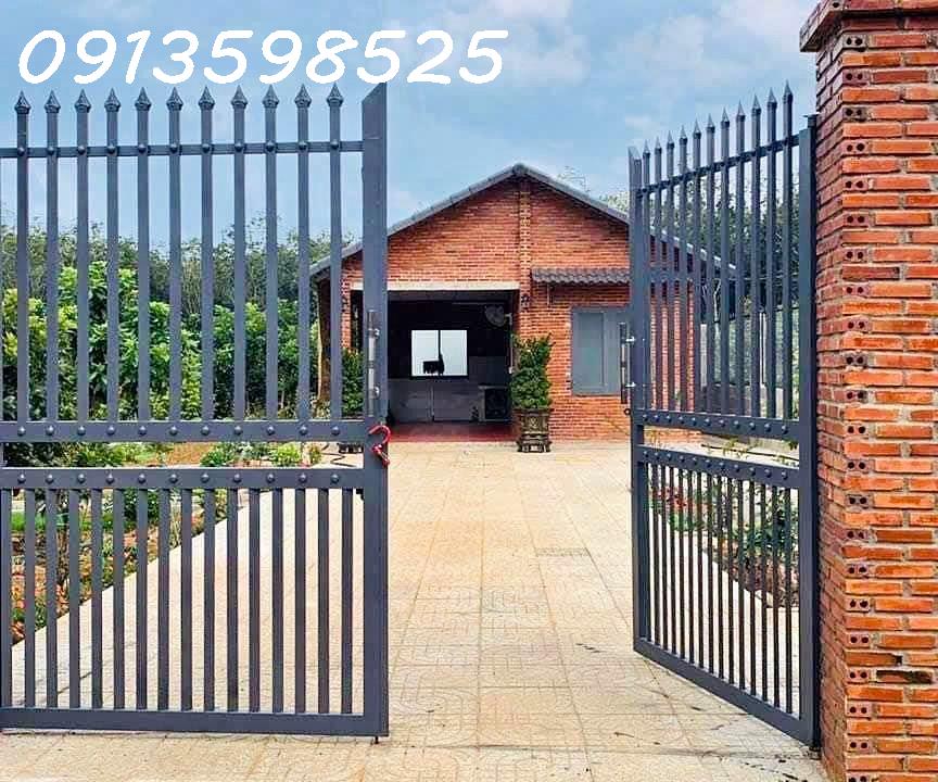 Bán nhà vườn 2000 m2, 290 tr, đường nhựa 12m - Ảnh 2