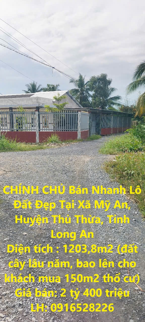 CHÍNH CHỦ Bán Nhanh Lô Đất Đẹp Tại Xã Mỹ An, Huyện Thủ Thừa, Tỉnh Long An - Ảnh chính