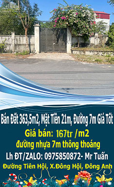 Bán Đất 363,5m2, Mặt Tiền 21m, Đường 7m Giá Tốt Nhất 167tr/m2-Đường Tiên H - Ảnh chính