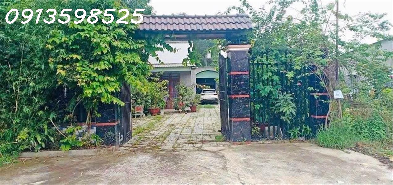 Cần chuyển chỗ ở, bán nhanh lô đất 1500m2, 280 tr, cây trái đầy đủ, 1 nhà cấp 4 - Ảnh chính