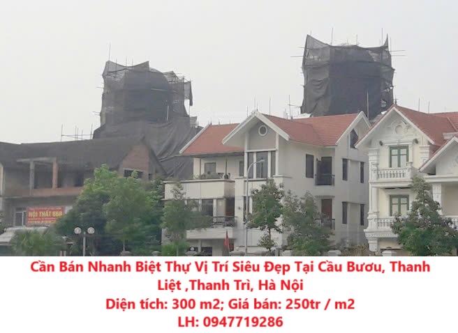 Cần Bán Nhanh Biệt Thự Vị Trí Siêu Đẹp Tại Cầu Bươu, Thanh Liệt ,Thanh Trì, Hà Nội - Ảnh chính