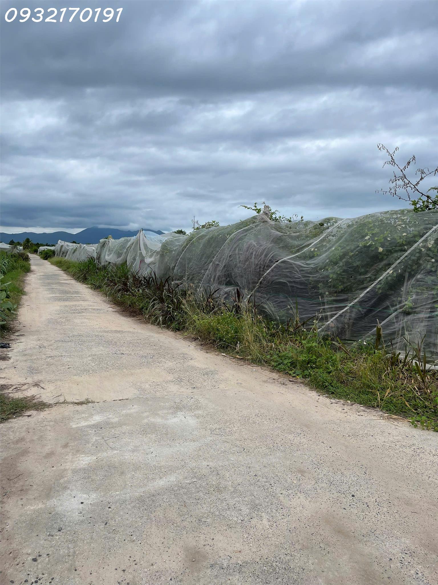 BÁN ĐẤT FULL THỔ - LÔ GÓC -  Ở P. CAM NGHĨA - TP.CAM RANH, - 945M2 - GIÁ HỜ 1.6 TỶ- SINH LỜI CỰC CAO - Ảnh 1