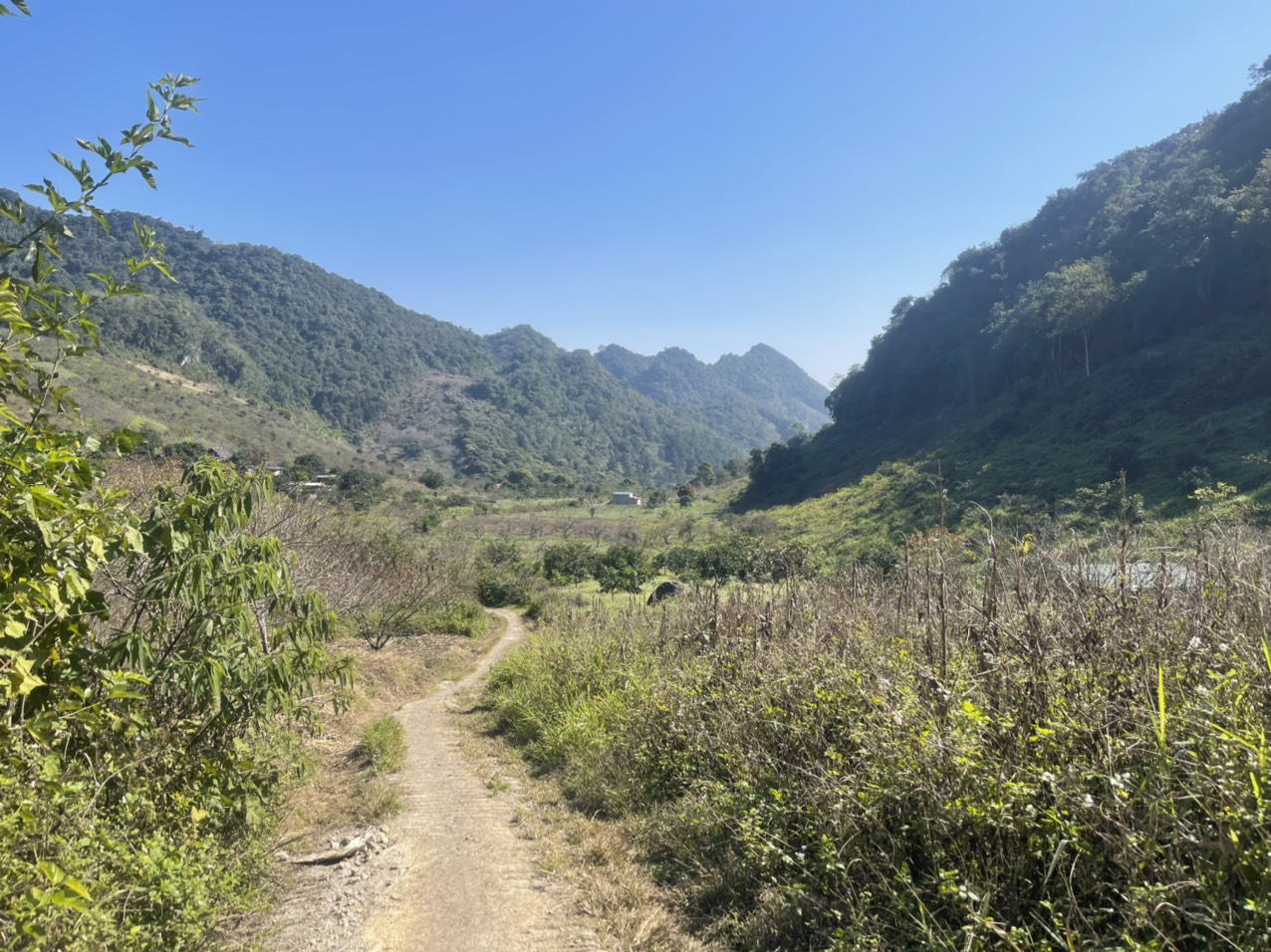 Bán Mảnh Đất Lý Tưởng Tại Trung Tâm TT Nông Trường Mộc Châu, View Thung Lũng, Phù Hợp Kinh Doanh Nôn - Ảnh chính