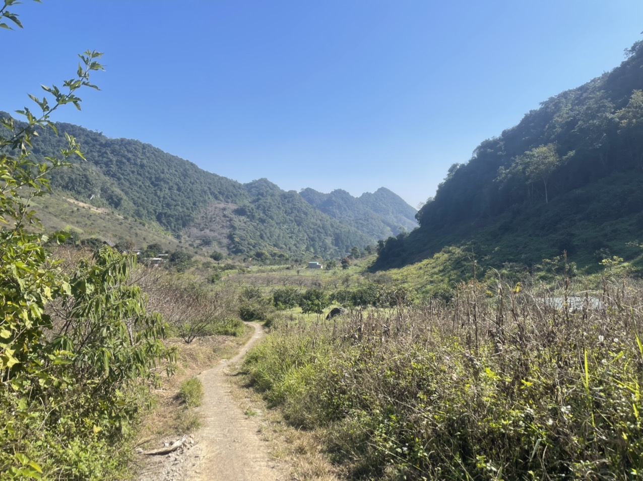 Bán Mảnh Đất Lý Tưởng Tại Trung Tâm TT Nông Trường Mộc Châu, View Thung Lũng, Phù Hợp Kinh Doanh Nôn - Ảnh 3