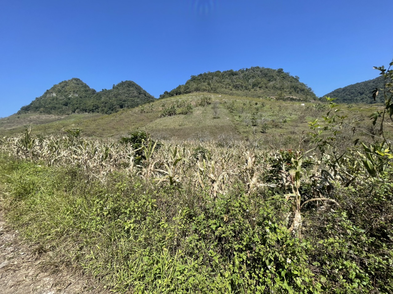 Bán Mảnh Đất Lý Tưởng Tại Trung Tâm TT Nông Trường Mộc Châu, View Thung Lũng, Phù Hợp Kinh Doanh Nôn - Ảnh 4