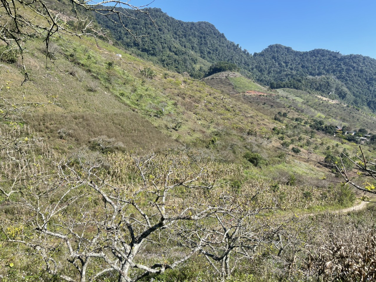 Bán Mảnh Đất Lý Tưởng Tại Trung Tâm TT Nông Trường Mộc Châu, View Thung Lũng, Phù Hợp Kinh Doanh Nôn - Ảnh 5