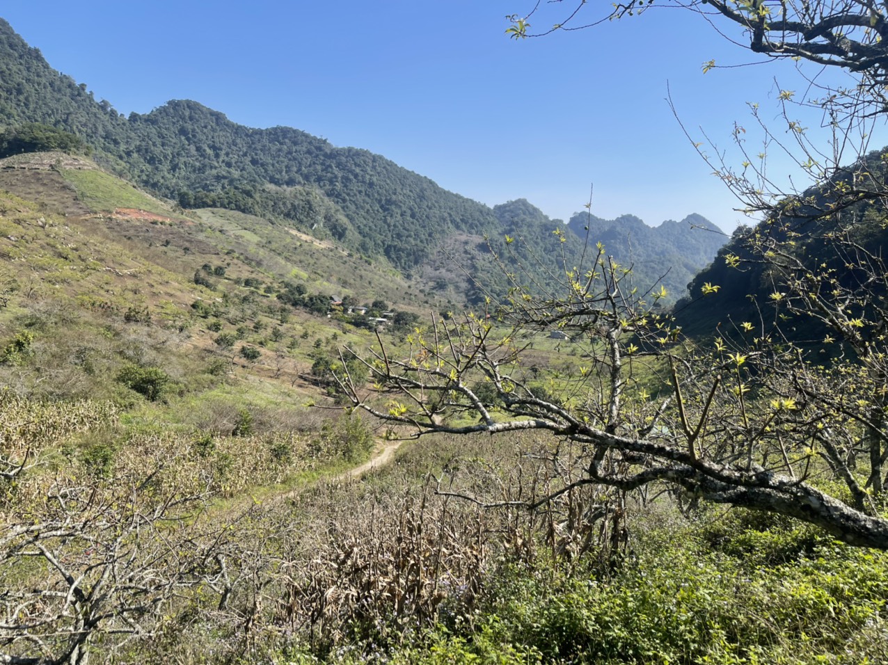 Bán Mảnh Đất Lý Tưởng Tại Trung Tâm TT Nông Trường Mộc Châu, View Thung Lũng, Phù Hợp Kinh Doanh Nôn - Ảnh 7