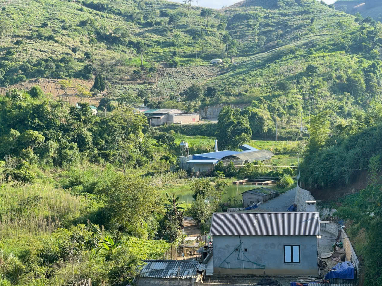 🌿 Siêu phẩm đất nghỉ dưỡng 1,2ha trung tâm thị trấn nông trường Mộc Châu – View đồi chè tuyệt đẹp - Ảnh 2