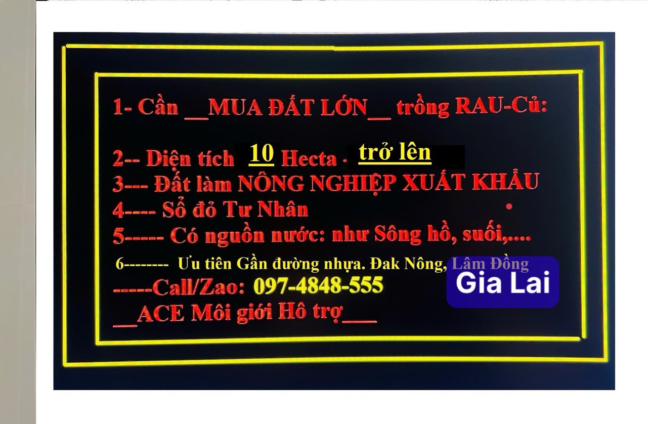 CẦN TÌM MUA ĐẤT LỚN: 10 (HECTA) - 300 (HECTA) QUANH KHU VỰC TP GIA NGHĨA. LH:0974848555. - Ảnh chính