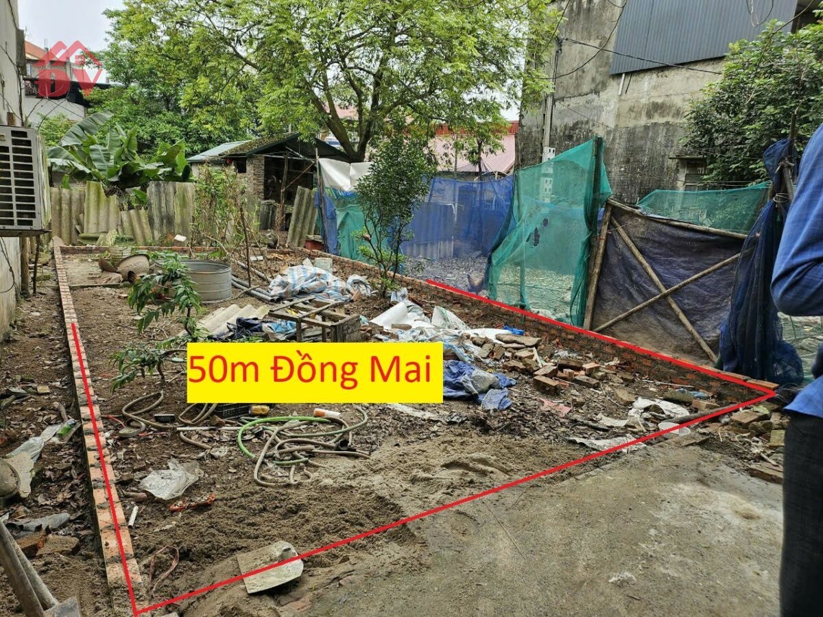 SIÊU PHẨM GIÁ 2,450 TỶ  ĐẤT TẠI ĐỒNG MAI-HÀ DÔNG D/T:50M - Ảnh chính