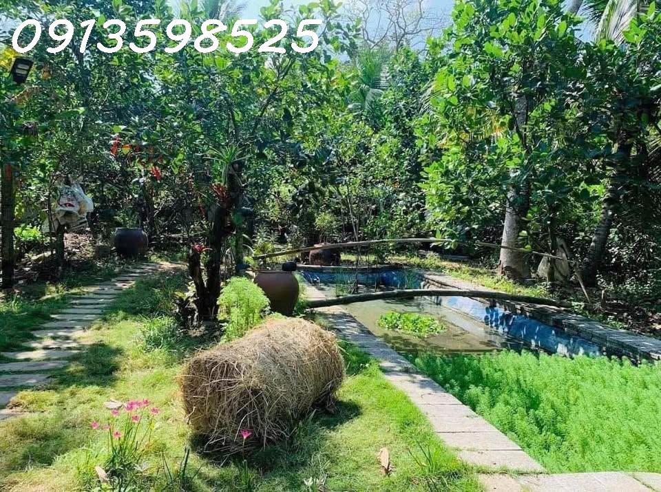 Mua 600 bán rẻ 325tr/1.000m2. LH: 0913.598.525. Chỉ trong tháng này! - Ảnh chính