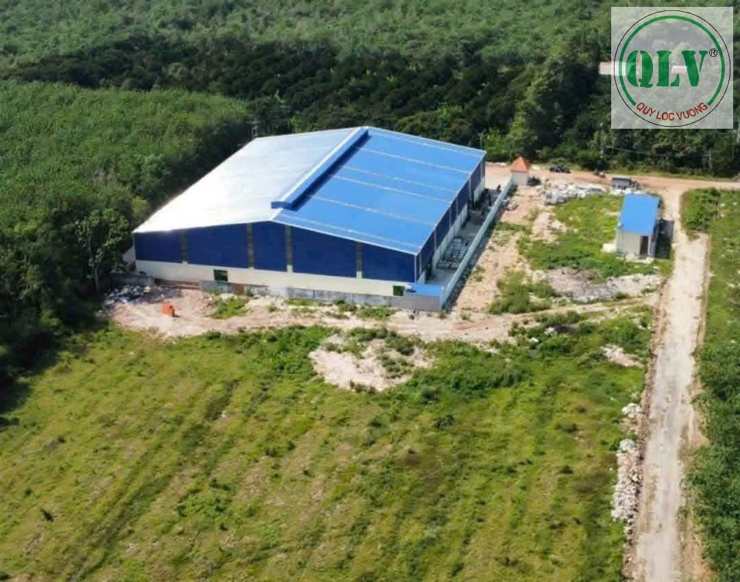 Bán xưởng kv 15.000m2 xưởng 3.000m2 đường Trừ Văn Thố, Bàu Bàng - Ảnh 2