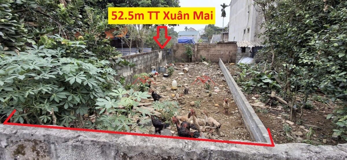 SIÊU PHẨM GIÁ 1,6 TỶ ĐẤT TẠI TT XUÂN MAI-CHƯƠNG MỸ D/T:52,5M - Ảnh chính