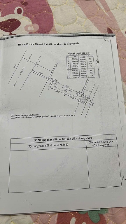 Chính chủ nhà bán 208m2 2Tỷ7 - Đường kênh A, xã Lê Minh Xuân, Huyện Bình Chánh, HCM - Ảnh 2