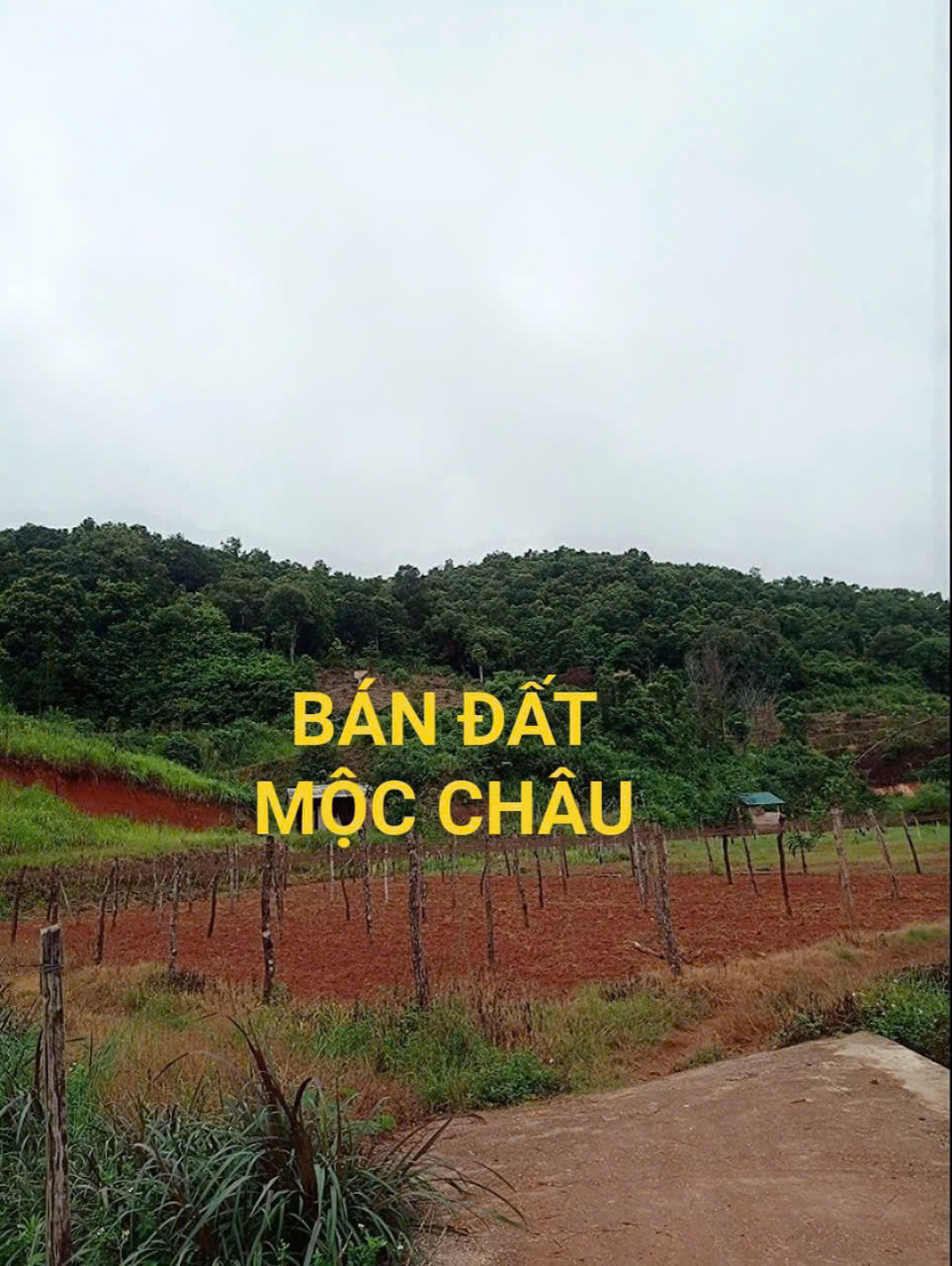 BÁN ĐẤT NGHỈ DƯỠNG MỘC CHÂU – VỊ TRÍ VÀNG, GIÁ SIÊU TỐT! - Ảnh chính