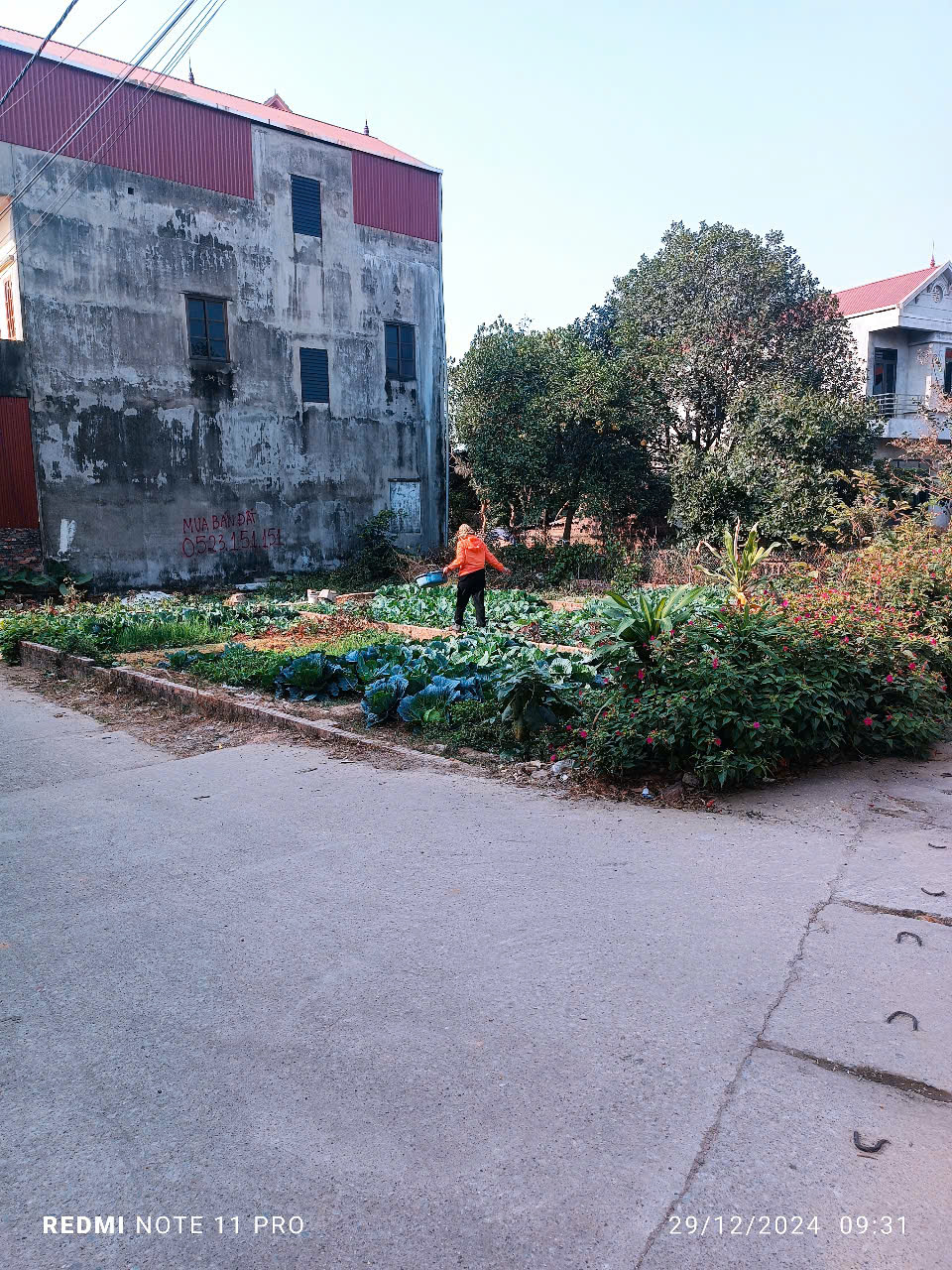 CẦN BÁN NHANH 54M ĐẤT NAM CƯƠNG, HIỀN NINH, SÓC SƠN, HÀ NỘI. - Ảnh chính