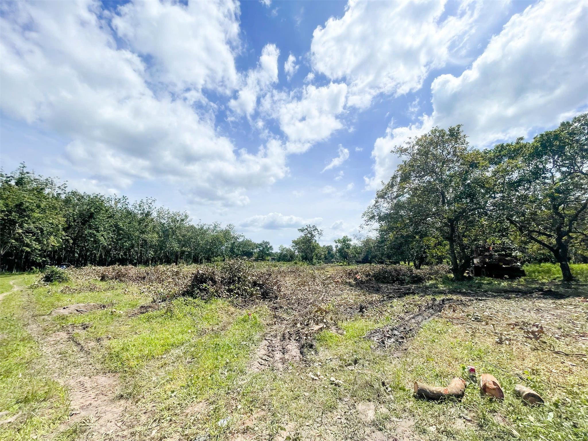 BÁN VƯỜN ĐIỀU 2,7 SÀO (2730M2) VIEW SÔNG DÂN THƯA, 200M RA NHỰA, CÔNG NGHIỆP GIÁ 190TR/S. - Ảnh 1