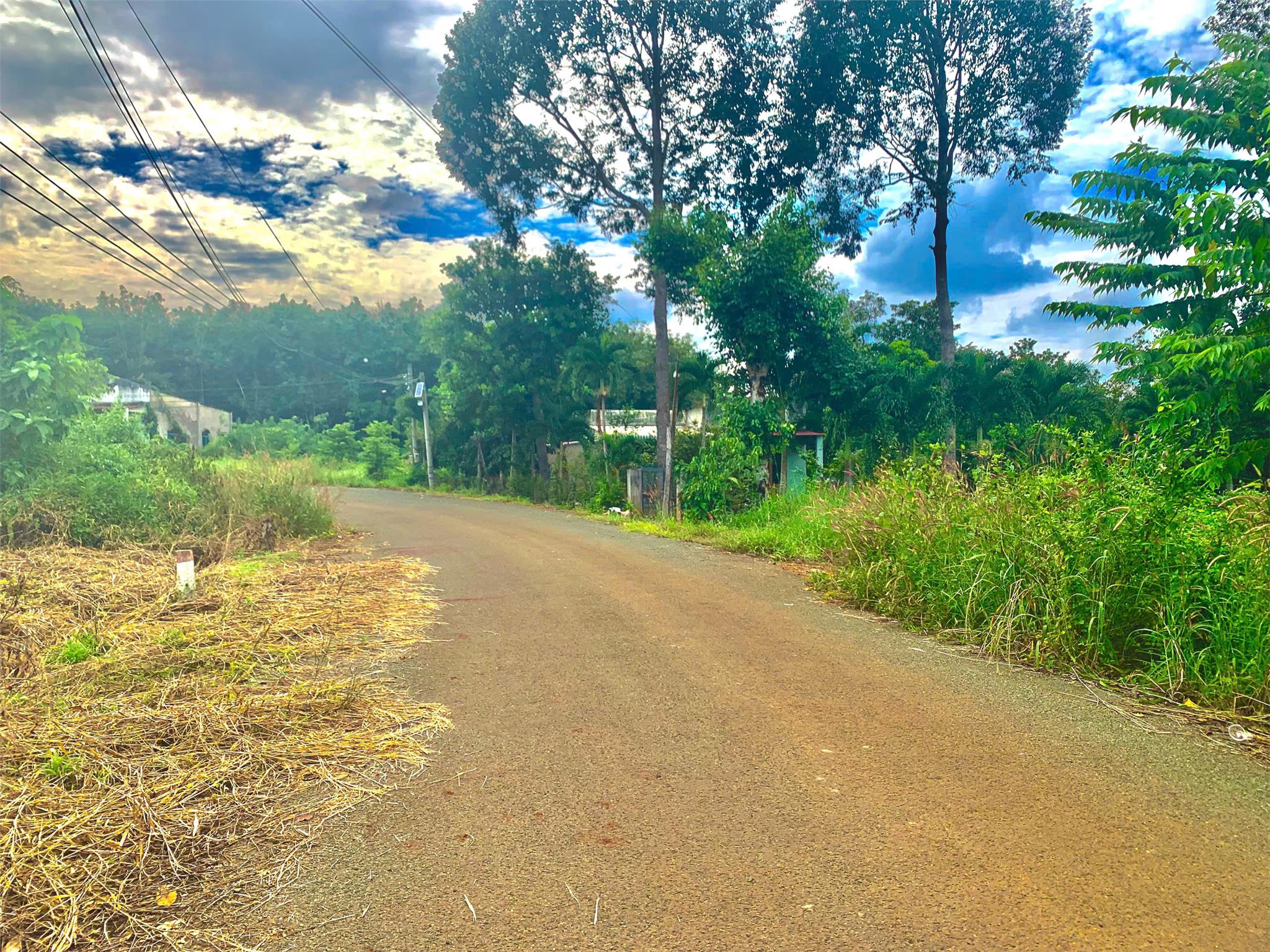 BÁN VƯỜN ĐIỀU 2,7 SÀO (2730M2) VIEW SÔNG DÂN THƯA, 200M RA NHỰA, CÔNG NGHIỆP GIÁ 190TR/S. - Ảnh 2