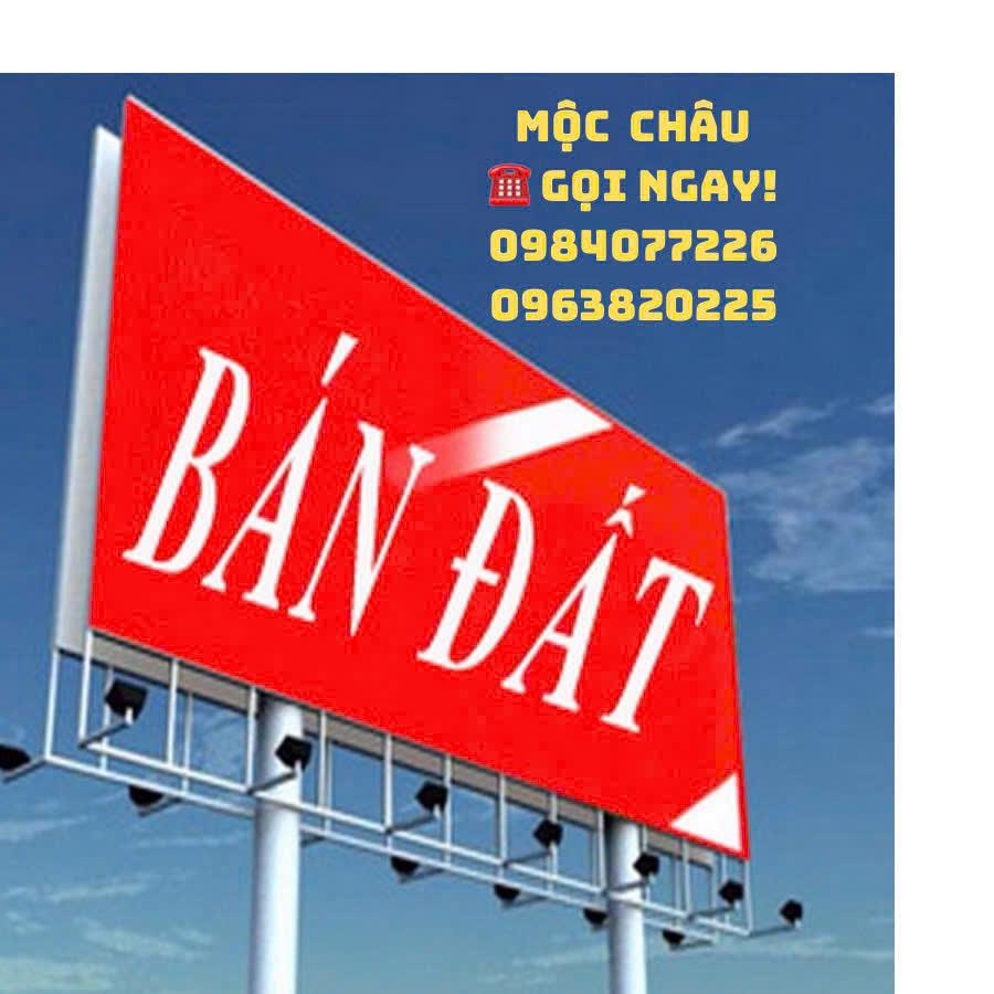 Sở Hữu ĐẤT MỘC CHÂU VIEW ĐẸP, PHÙ HỢP ĐẦU TƯ HOMESTAY, NGHỈ DƯỠNG - VỊ TRÍ VÀNG, GIÁ SIÊU TỐT - Ảnh 2