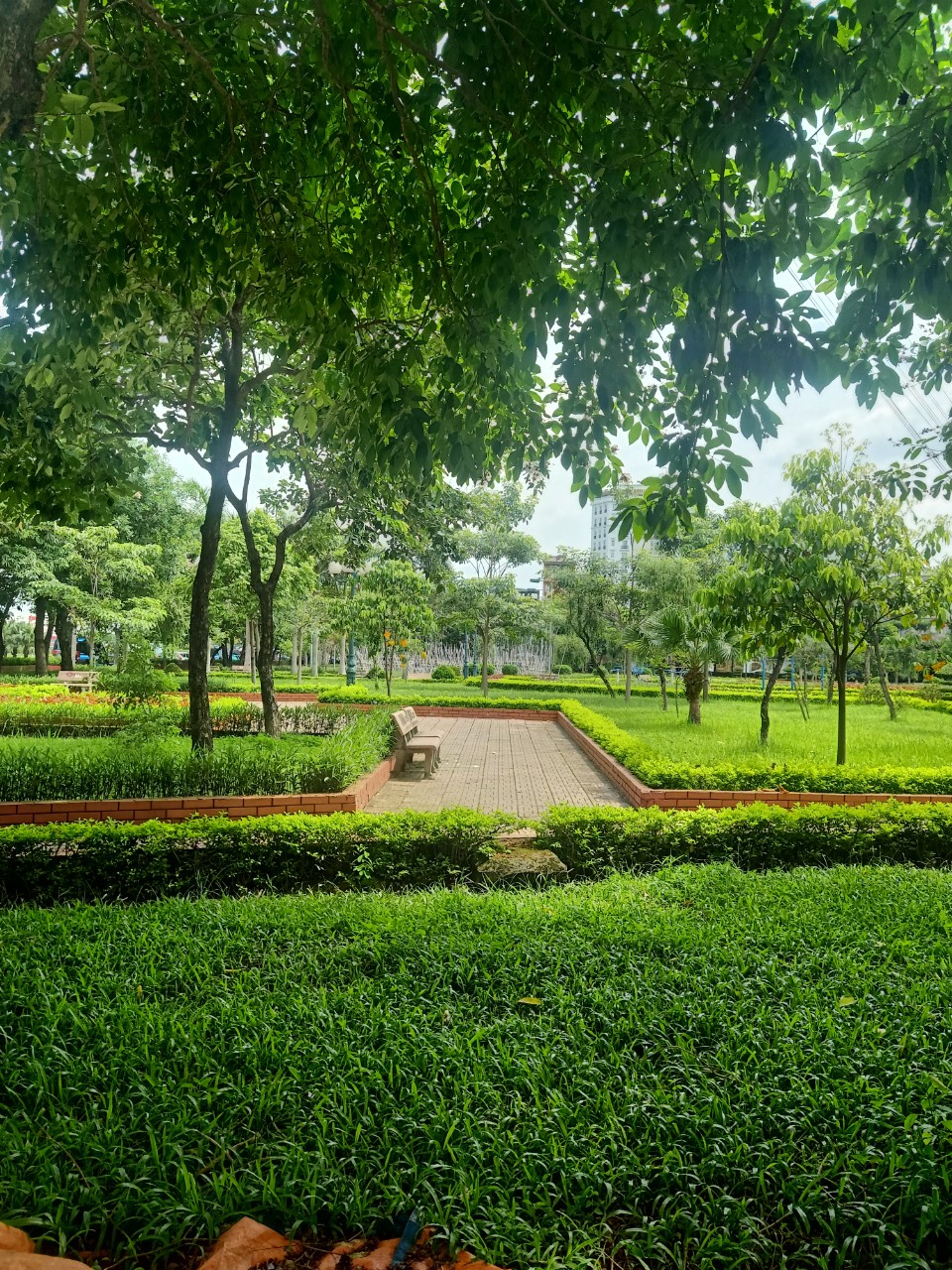 Bán nhà xã Đông Hòa, TP Thái Bình, 120m², 7.3 tỷ - Ảnh 2