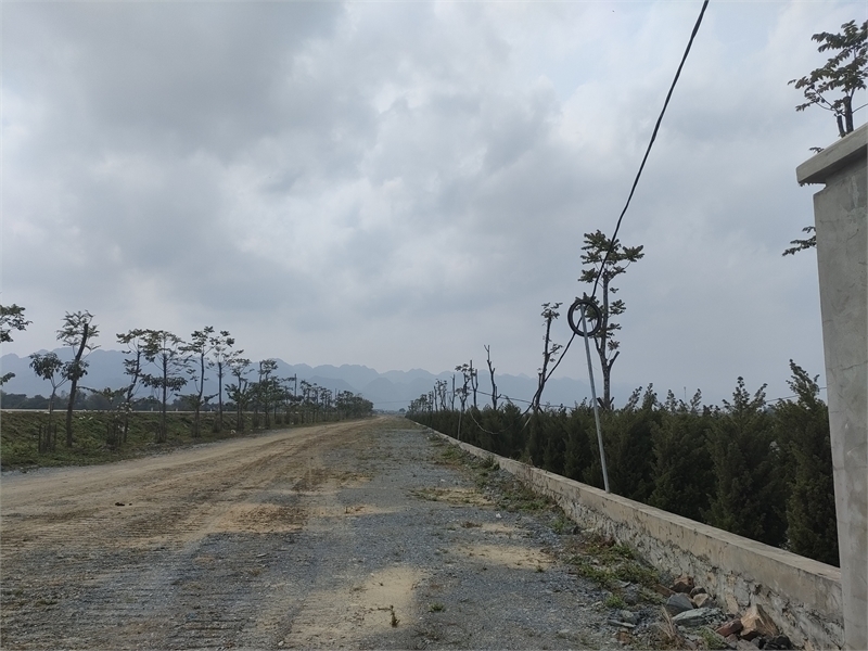 Cần bán 2ha đất kho nhà xưởng 50 năm tại xã Đoan Bái, Huyện Hiệp Hòa, Bắc Giang - Ảnh chính