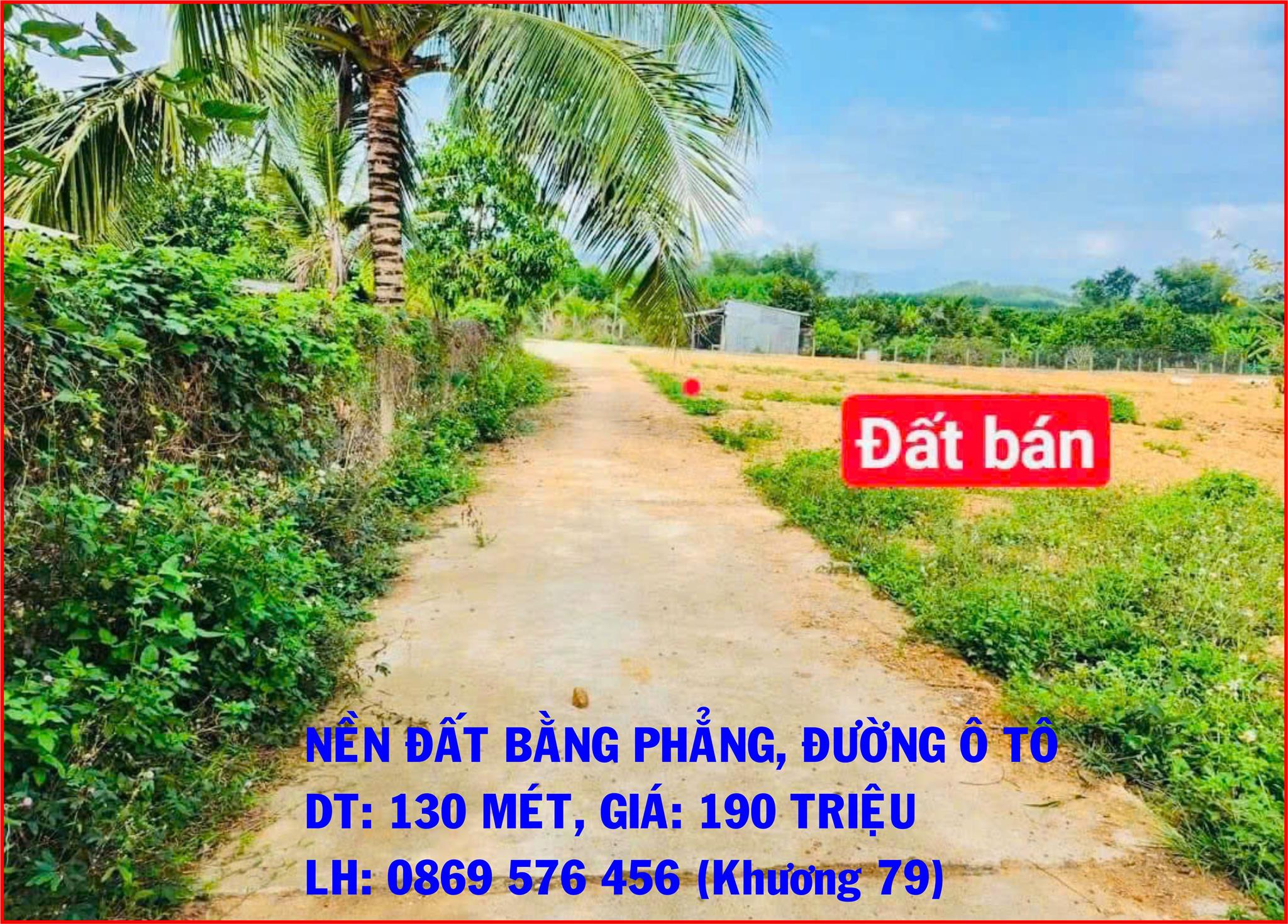 Bán đất nền giá siêu rẻ tại khu vực khánh hoà - Ảnh 3