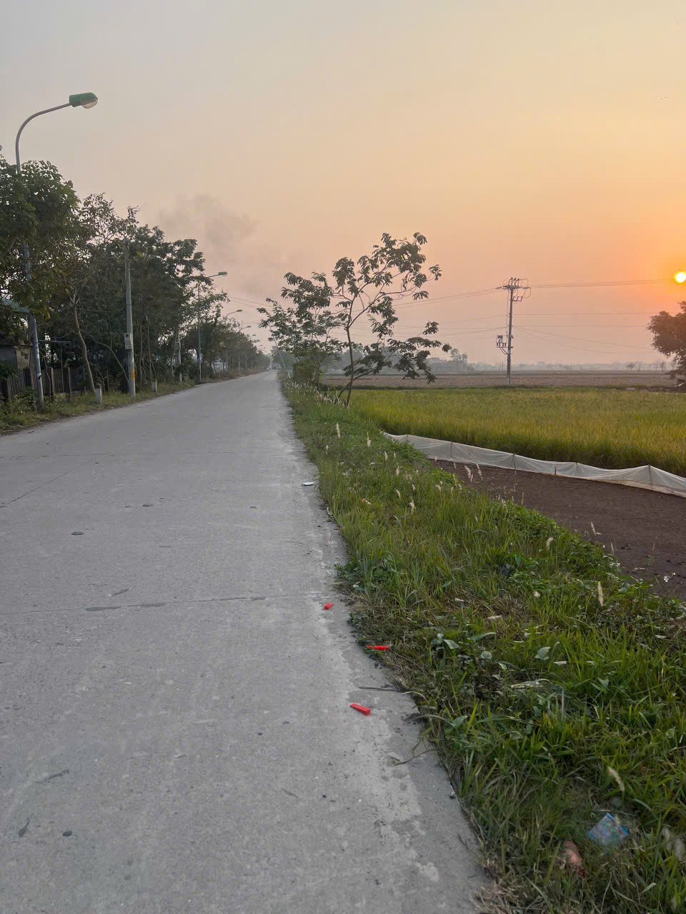 Nhanh tay sở hữu ngay trang trại rộng lớn tại Thị trấn Phú Xuyên, huyện Phú Xuyên, tp Hà Nội - Ảnh 4