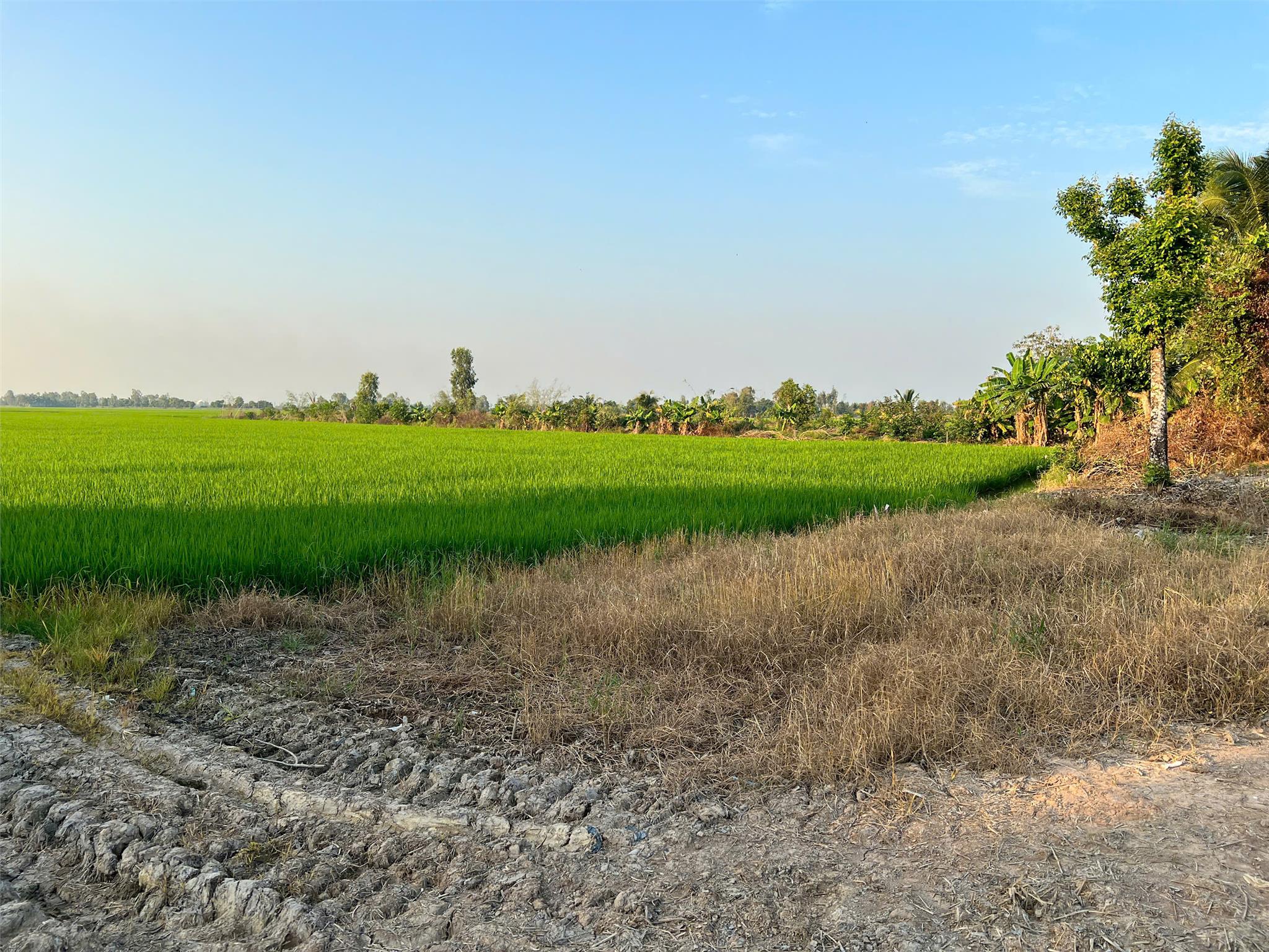 ĐẤT ĐẸP - GIÁ TỐT - Chính Chủ Cần Bán Lô Đất Tại Xã Mỹ Hiệp Sơn, Huyện Hòn Đất, Kiên Giang - Ảnh chính