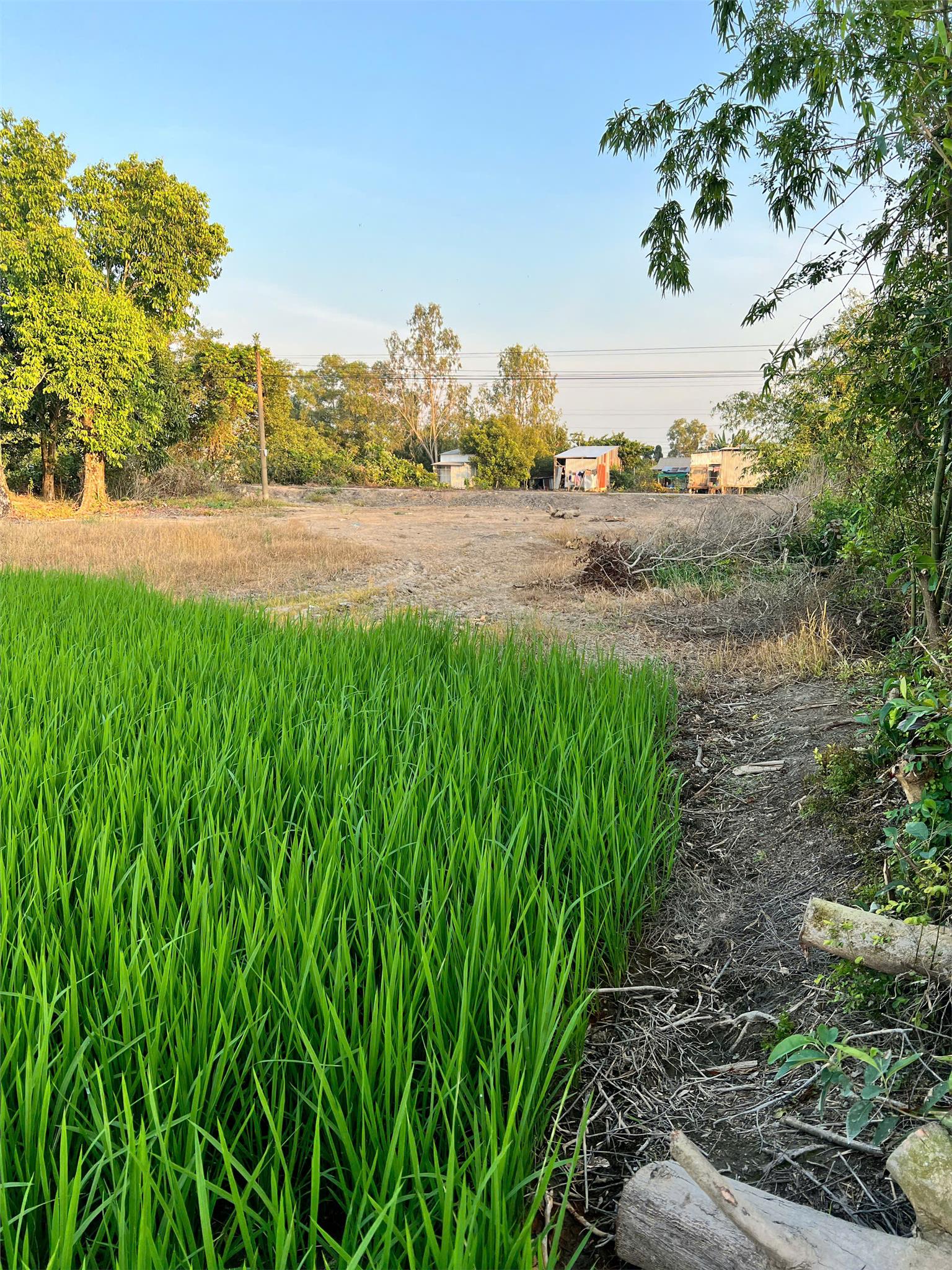 ĐẤT ĐẸP - GIÁ TỐT - Chính Chủ Cần Bán Lô Đất Tại Xã Mỹ Hiệp Sơn, Huyện Hòn Đất, Kiên Giang - Ảnh 2