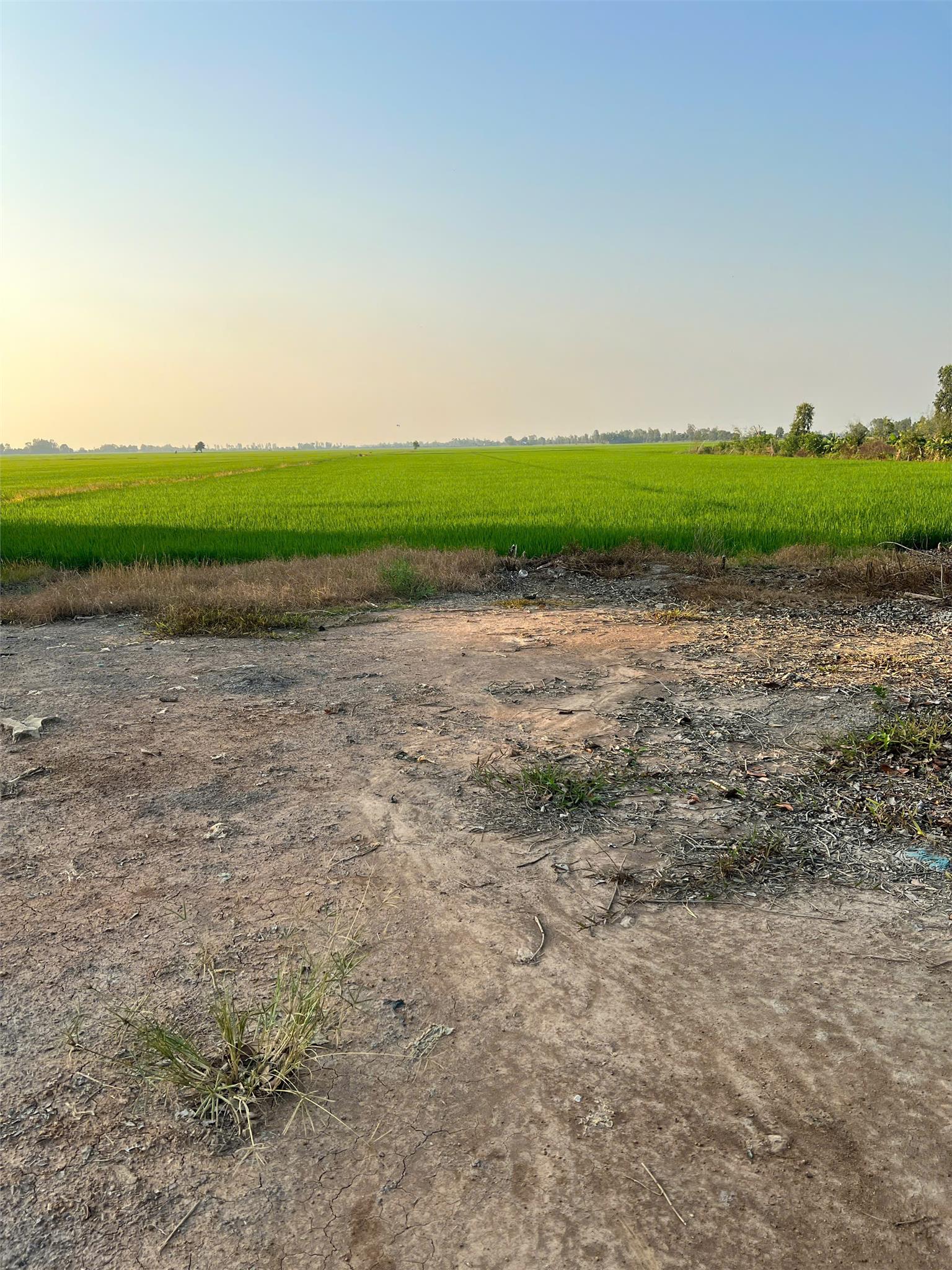 ĐẤT ĐẸP - GIÁ TỐT - Chính Chủ Cần Bán Lô Đất Tại Xã Mỹ Hiệp Sơn, Huyện Hòn Đất, Kiên Giang - Ảnh 4