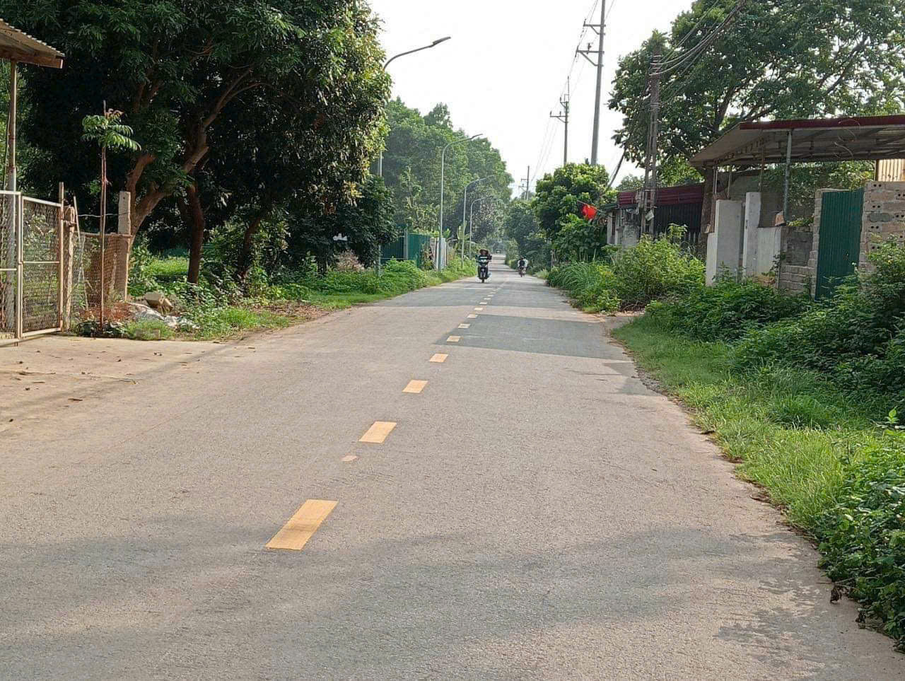 144M2 FULL ĐẤT Ở, TẠI SƠN ĐÔNG; GIÁ HƠN 2 TỶ - Ảnh 2